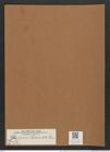 Rhaphoneis ? bisseriata [sic] Grun. (de-Toni-Nr.: Genus 78, Species 2844) Zeichnungen Sammlung Grunow Mappe 03010 (Herbarium_W_Grunow_drawings_Folder_03010)